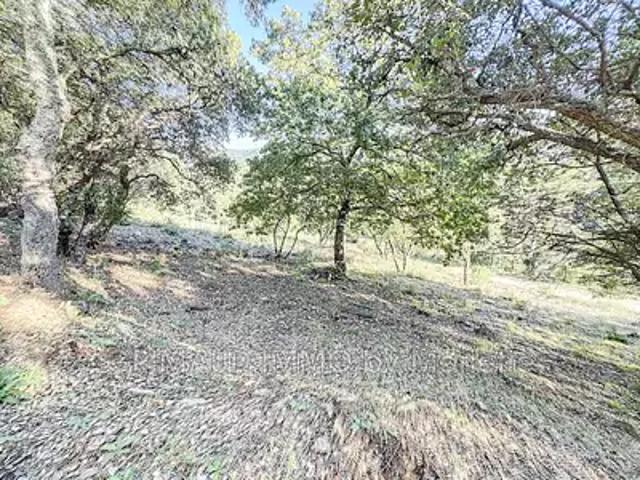 La Môle 83310 Achat / Vente terrain