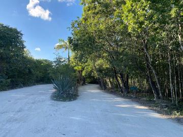 LA OPORTUNIDAD DE VIVIR EN LA SELVA ES AHORA | TERRENO EN PUEBLO SACBE | PLAYA DEL CARMEN, La Guadalupana