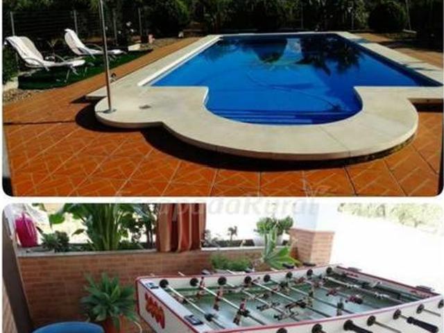 La Orquidea