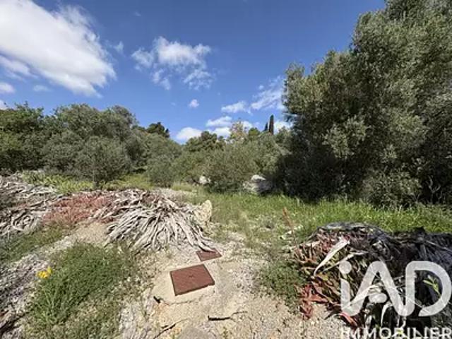 La Palme 11480 Achat / Vente terrain