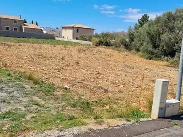 La Palme 11480 Achat / Vente terrain