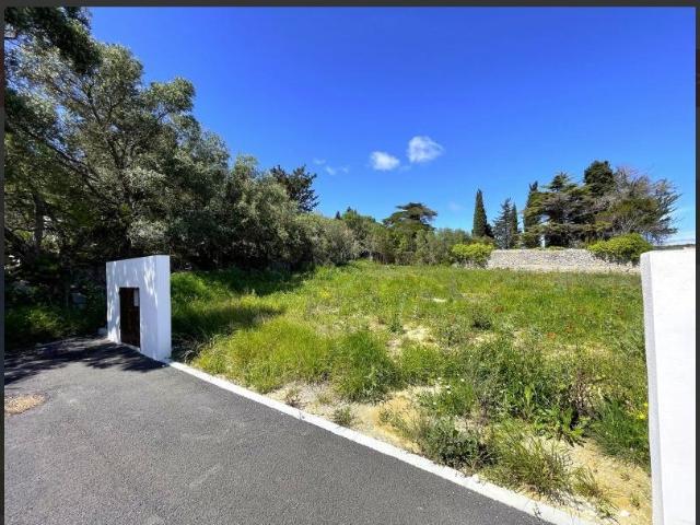 La Palme Vente Terrain 11