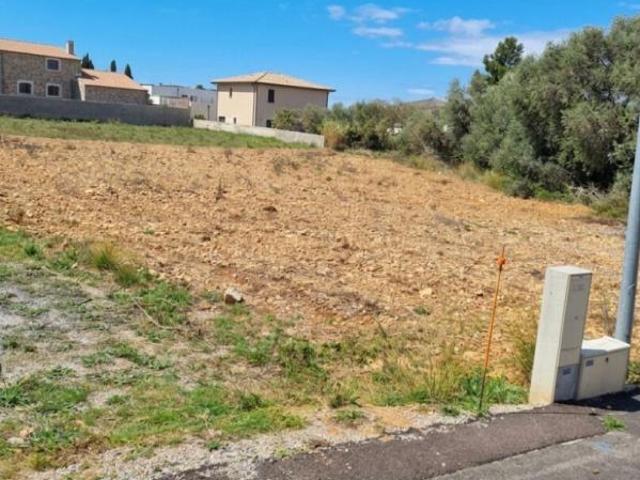 La Palme Vente Terrain 11