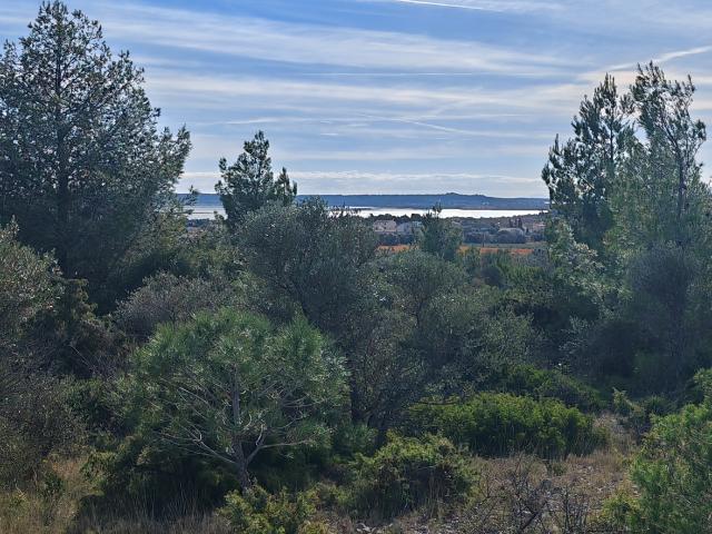 La Palme Vente Terrain 11