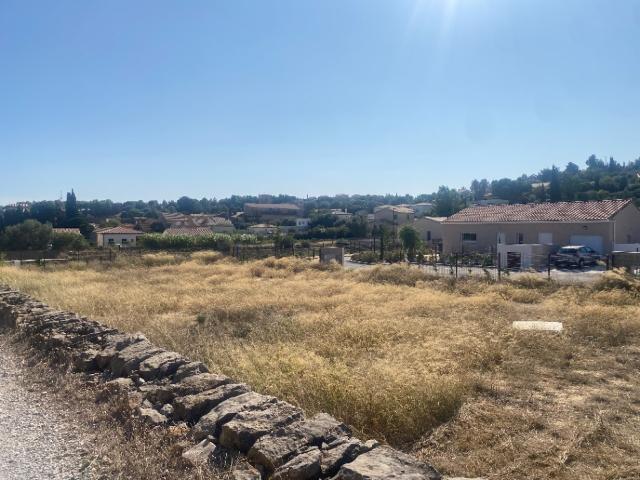 La Palme Vente Terrain 11