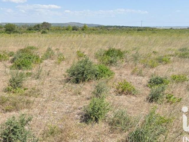 La Palme Vente Terrain 11