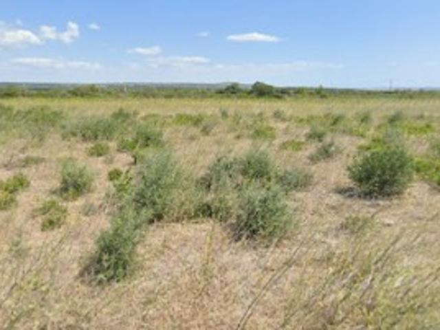 La Palme Vente Terrain 11