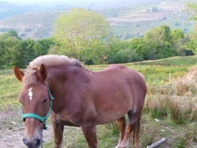 La Pasadía Riotuerto Cantabria