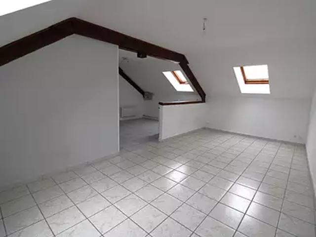 La Porte du Der 52220 Achat / Vente immeuble terrasse cave