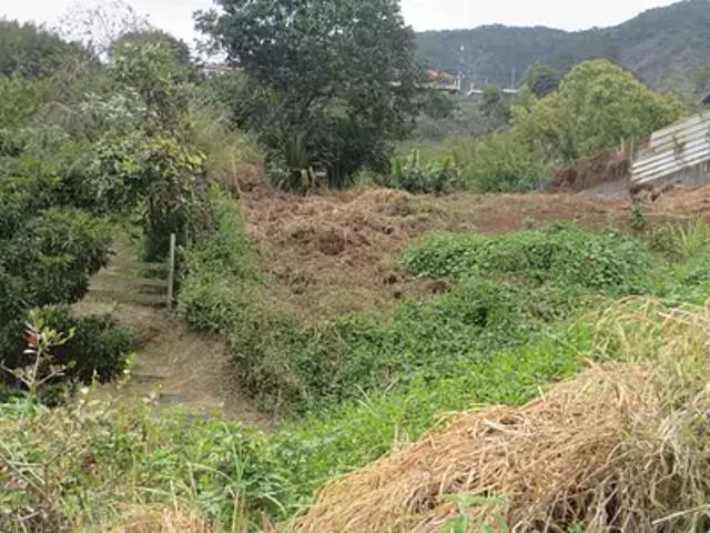 La Possession 97419 Achat / Vente terrain