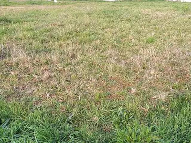 La Plaine sur Mer 44770 Programme neuf terrain neuf à vendre