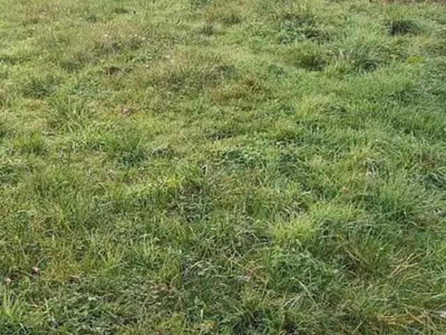 La Plaine sur Mer 44770 Programme neuf terrain neuf à vendre