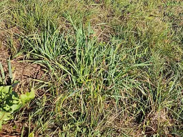 La Plaine sur Mer 44770 Programme neuf terrain neuf à vendre