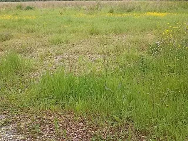 La Plaine sur Mer 44770 Programme neuf terrain neuf à vendre