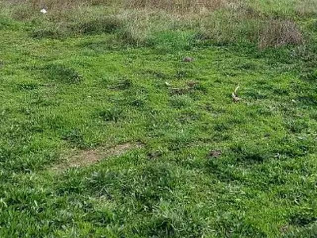 La Plaine sur Mer 44770 Programme neuf terrain neuf à vendre