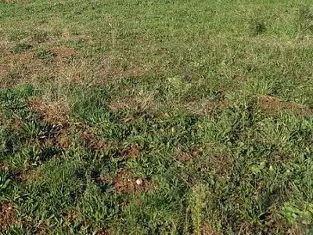 La Plaine sur Mer 44770 Programme neuf terrain neuf à vendre