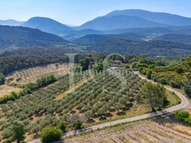 La Provence dans toute sa splendeur, le Ventoux pour horizon