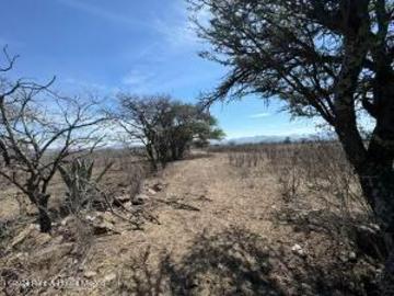 La Purísima de la Cueva. VENTA Terreno mixto de 69 mil metros