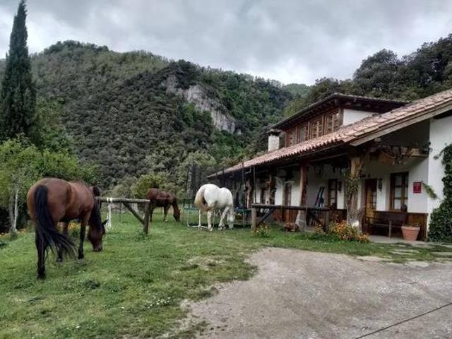 La Raposiega II