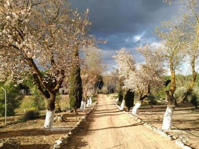 La Rinconada de las Tablas de Daimiel