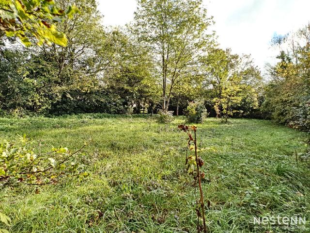 La Romieu Vente Terrain 32