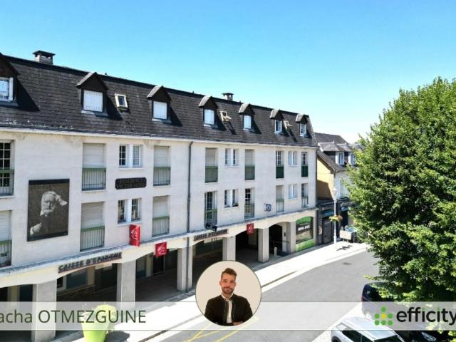 La Roche Posay Vente Appartement 86
