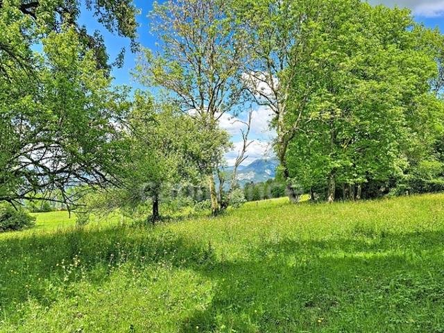 La Roche sur Foron Vente Terrain 74