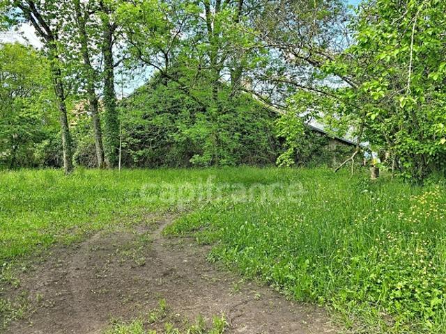 La Roche sur Foron Vente Terrain 74