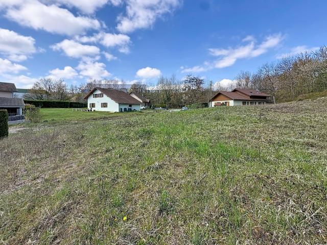 La Roche sur Foron Vente Terrain 74