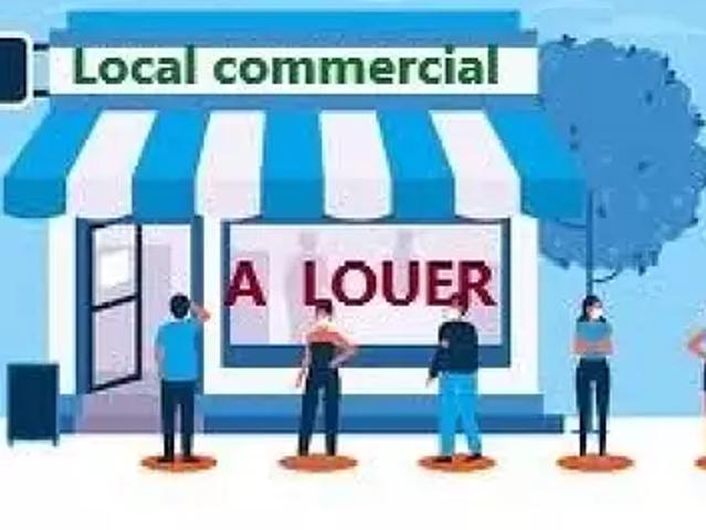 La Roche sur Yon 85000 Location divers 2 pièces