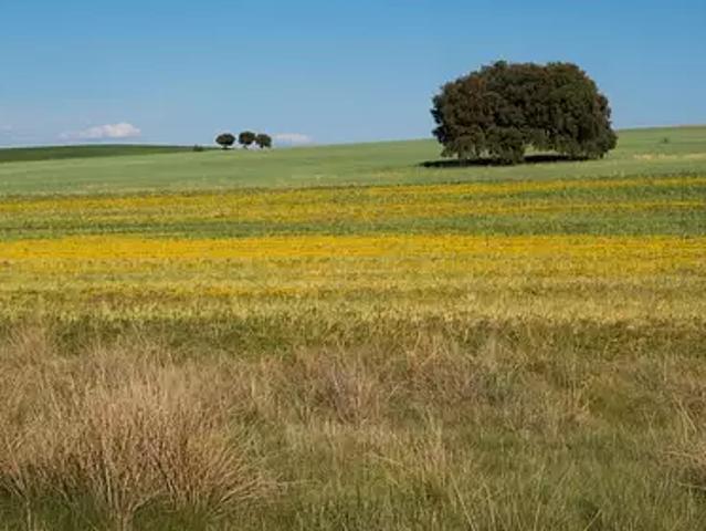 La Roche sur Yon 85000 Programme neuf terrain neuf à vendre