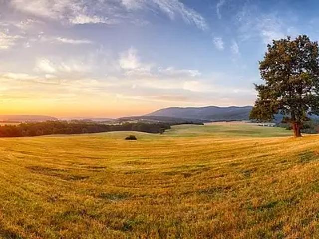 La Roche sur Yon 85000 Programme neuf terrain neuf à vendre