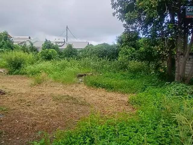 La Saline Les Bains 97434 Achat / Vente terrain