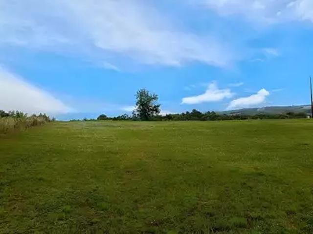 La Sauzière Saint Jean 81630 Achat / Vente terrain