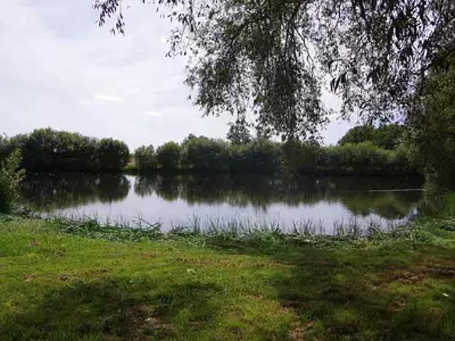 La Séguinière 49280 Achat / Vente terrain
