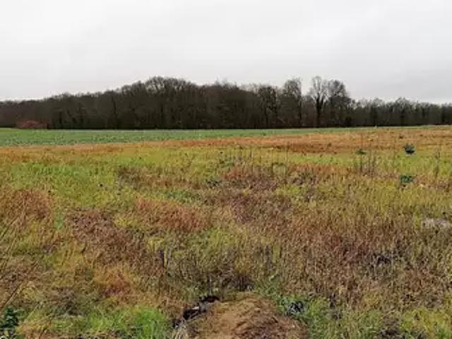 La Selle sur le Bied 45210 Achat / Vente terrain