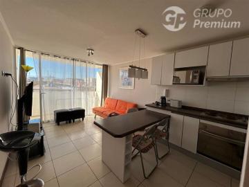 La Serena, Av Pacifico con los arrayanes