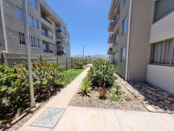 La Serena, Las Orquídeas 5340