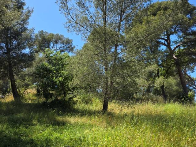 La Seyne sur Mer Vente Terrain 83
