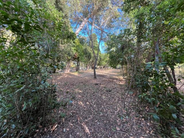 La Seyne sur Mer Vente Terrain 83