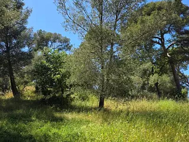 La Seyne sur Mer 83500 Programme neuf terrain neuf à vendre