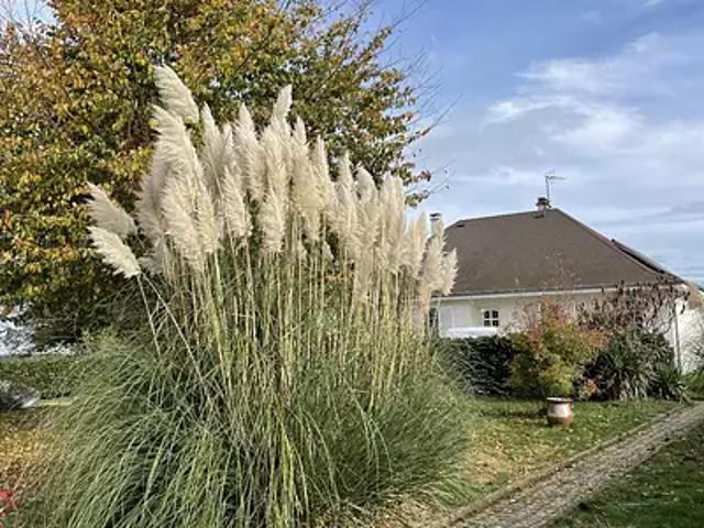 La Souterraine 23300 Achat / Vente maison 4 pièces t4 au dernier étage