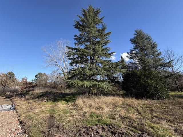 Lamagistère Vente Terrain 82