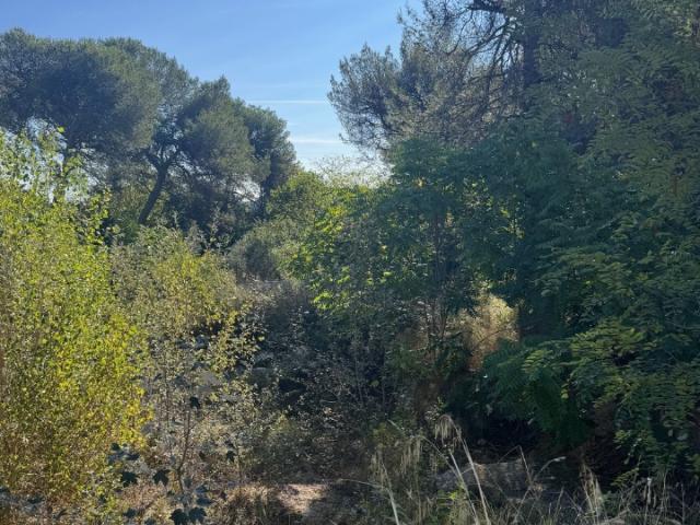 Lambesc Vente Terrain 13