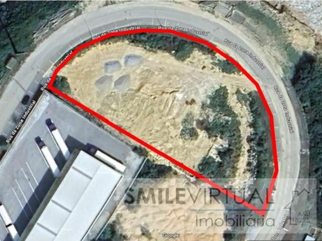 Lamego Lamego LS90745435