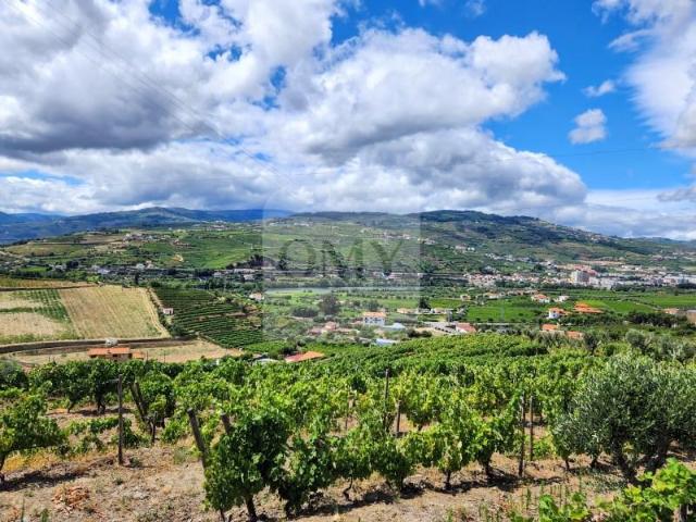 Lamego Lamego 103192866