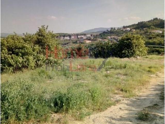 Lamego Lamego 104240141