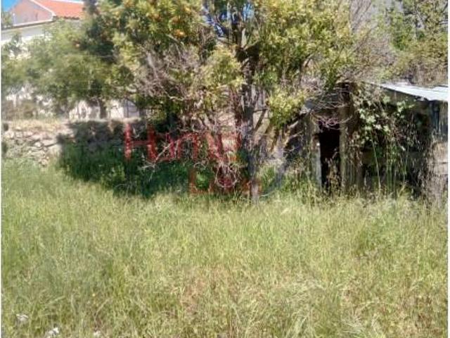 Lamego Lamego 104240156