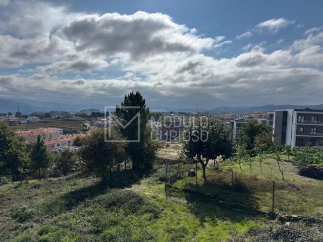Lamego Lamego 97118999