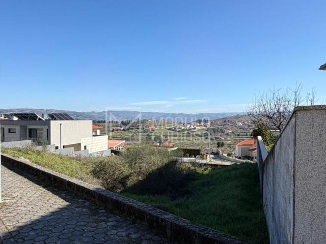 Lamego Lamego 99343495